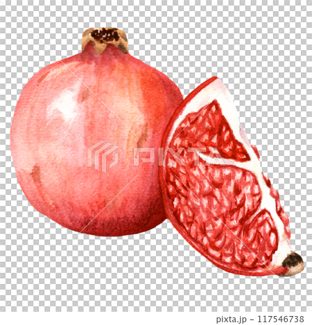 Handdrawn watercolor ripe pomegranate 117546738