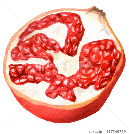 Handdrawn watercolor half of pomegranate 117546739