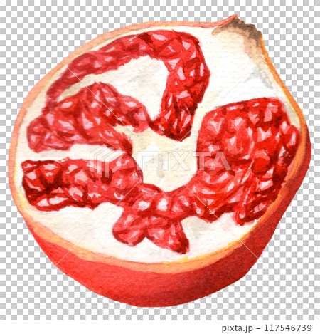 Handdrawn watercolor half of pomegranate 117546739