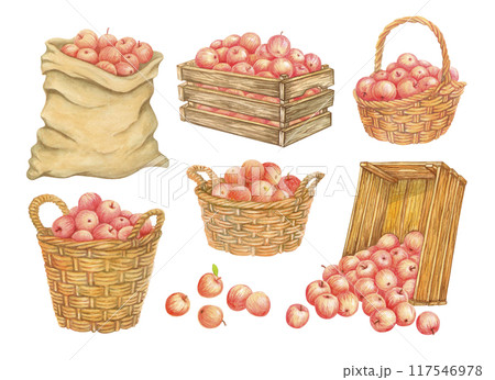 Containers for collecting and storing harvest. Canvas sack of apples. Old wooden crates with fruits. Watercolor wicker baskets full of crop. Set of isolated hand drawn farmers market or garden clipart Containers for collecting and storing harvest. Canvas sack of apples. Old wooden crates with fruits. Watercolor wicker baskets full of crop. Set of isolated hand drawn farmers market or garden clipart 117546978