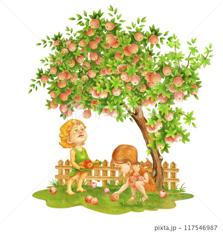 Children in orchard. Toddler girl waiting for apple to fall from a tree into her dress hem. A girl older harvesting fallen fruits from ground. Watercolor illustration for garden prints and design Children in orchard. Toddler girl waiting for apple to fall from a tree into her dress hem. A girl older harvesting fallen fruits from ground. Watercolor illustration for garden prints and design 117546987