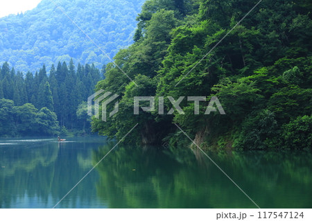 霧幻峡の渡し 早戸船着き場 霧幻峡の渡し 早戸船着き場 117547124