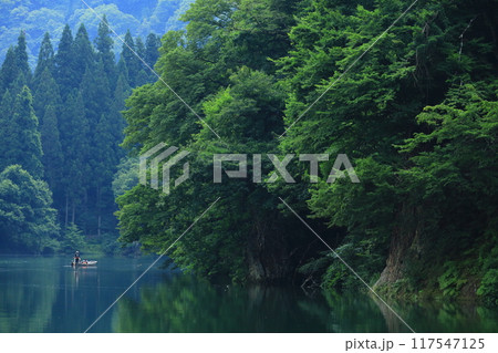 霧幻峡の渡し 早戸船着き場 霧幻峡の渡し 早戸船着き場 117547125