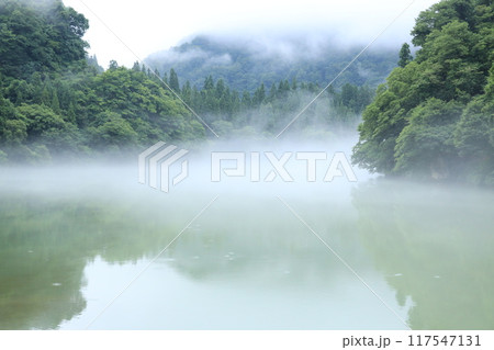 霧幻峡の渡し 早戸船着き場 霧幻峡の渡し 早戸船着き場 117547131