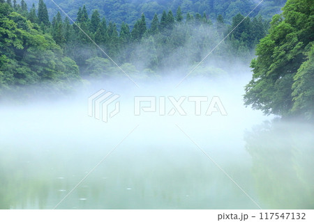 霧幻峡の渡し 早戸船着き場 霧幻峡の渡し 早戸船着き場 117547132