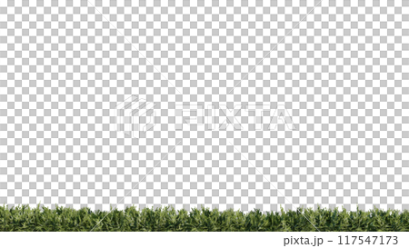 vegetation nature plant green natural environment foliage background 3d render. vegetation nature plant green natural environment foliage background 3d render. 117547173