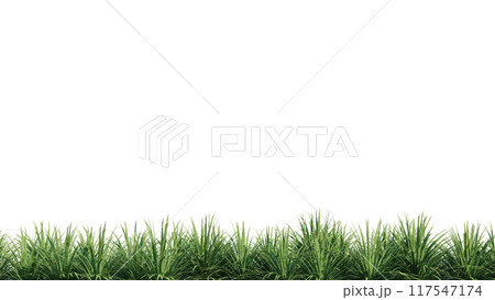 vegetation nature plant green natural environment foliage background 3d render. vegetation nature plant green natural environment foliage background 3d render. 117547174