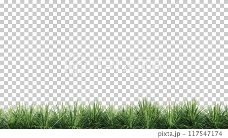 vegetation nature plant green natural environment foliage background 3d render. vegetation nature plant green natural environment foliage background 3d render. 117547174