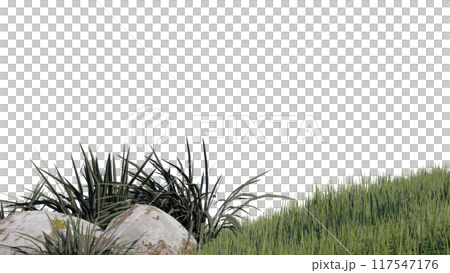 vegetation nature plant green natural environment foliage background 3d render. 117547176