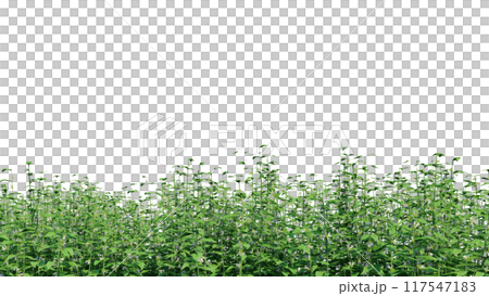 vegetation nature plant green natural environment foliage background 3d render. 117547183
