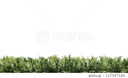 vegetation nature plant green natural environment foliage background 3d render. vegetation nature plant green natural environment foliage background 3d render. 117547184