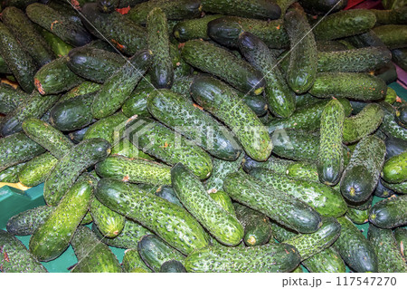 Lots of green cucumbers on the counter in the market. Food photography template 117547270