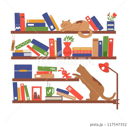 Book shelves. Books, cat and tea on the rack. Interior design. Vector flat illustration. 117547352