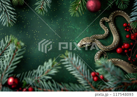 Beautiful greeting card with holiday composition for happy and joy celebrate New Year 117548093