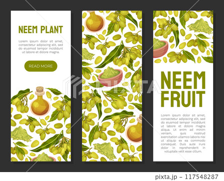 Neem Plant Banner Design with Medical Herb Vector Template 117548287
