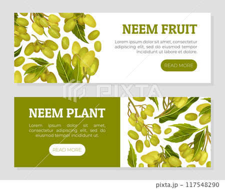 Neem Plant Banner Design with Medical Herb Vector Template 117548290