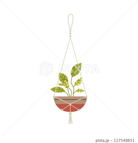 Flat vector illustration of a hanging potted plant using macrame. 117548651