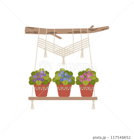 Macrame hangers for violet flowers growing in pots on a wooden stick, vector houseplant hang on rope decoration interior 117548652