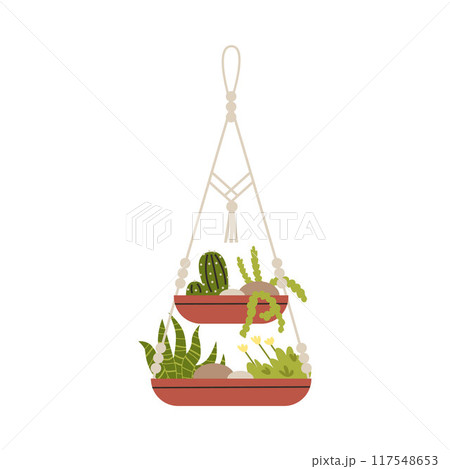 Macrame hangers for plants growing in pots, vector houseplant hang on knitted rope, decorative flowers, succulent cactus 117548653