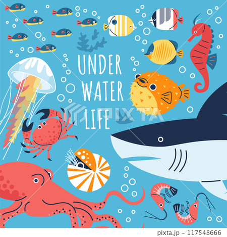 Under water life poster, tropical ocean or sea fauna, marine wildlife, octopus, crab, shark fishes underwater animals Under water life poster, tropical ocean or sea fauna, marine wildlife, octopus, crab, shark fishes underwater animals 117548666