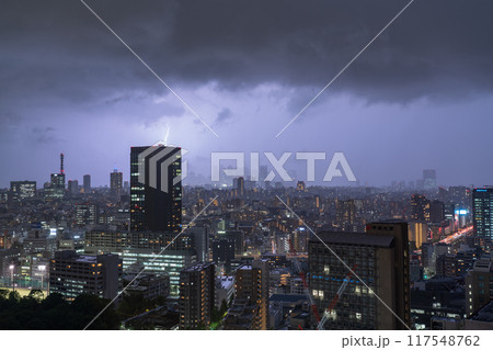 《東京都》ゲリラ雷雨の東京 117548762