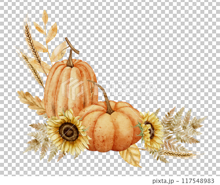 Watercolor illustration with Pumpkins and Sunflowers for harvest festival greeting cards or wedding invitations. Drawing of autumn leaves and fall plants and branches on isolated background. Watercolor illustration with Pumpkins and Sunflowers for harvest festival greeting cards or wedding invitations. Drawing of autumn leaves and fall plants and branches on isolated background. 117548983