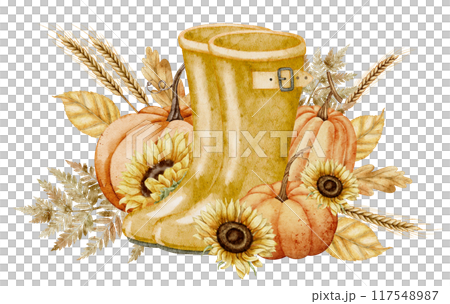 Watercolor autumn illustration with Pumpkins. Sunflowers and yellow rubber boots. Drawing with fall orange leaves and wheats for harvest festival greeting cards or invitations. Rustic painting. 117548987