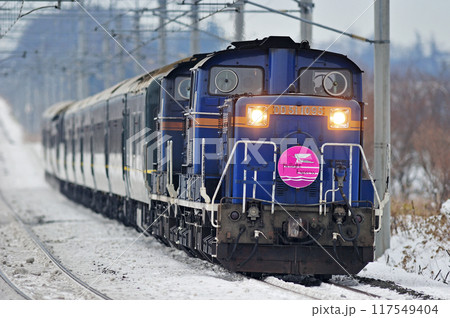 千歳線 恵庭ー北広島 JR北海道 DD51-1095+JR西日本 24系 トワイライトエクスプレス 千歳線 恵庭ー北広島 JR北海道 DD51-1095+JR西日本 24系 トワイライトエクスプレス 117549404