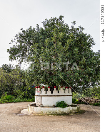 Hiking to the Rocha da Pena in Algarve region, Portugal, 117549585