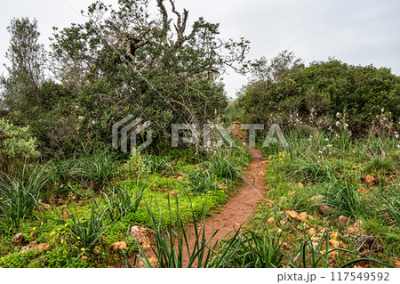 Hiking to the Rocha da Pena in Algarve region, Portugal, 117549592