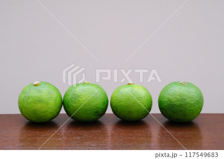 すだちのイメージ すだちのイメージ 117549683