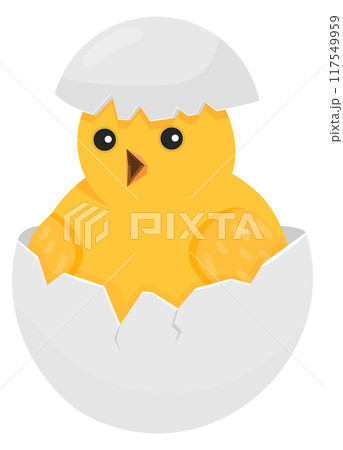 Chick hatch from egg. Cute baby bird birth 117549959