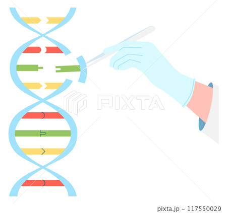 Human genome construction. Dna technology color icon Human genome construction. Dna technology color icon 117550029