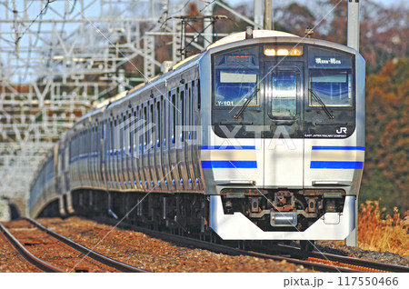 総武本線　佐倉ー物井　JR東日本　E217系　Y-101編成（鎌倉） 117550466