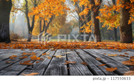 Table top with blur background of autumn 117550633
