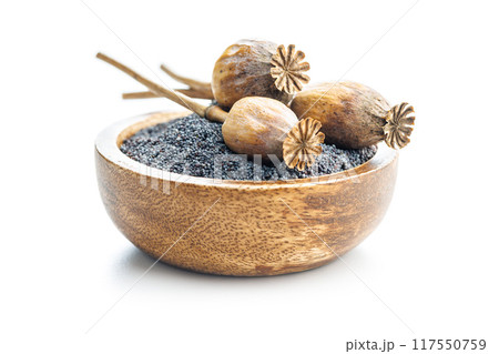 Dry poppy head and poppy seed in bowl isolated on white background. 117550759