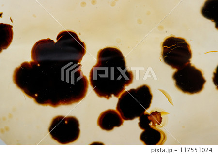 macro mineral stone Agata muschiata on a white background 117551024