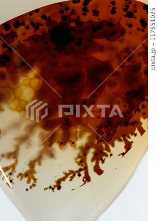 macro mineral stone Agata muschiata on a white background 117551025