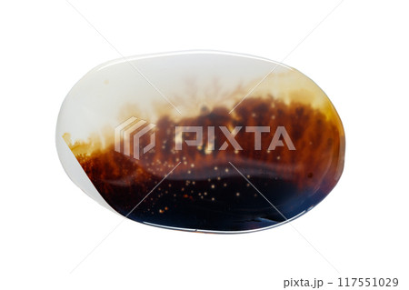 macro mineral stone Agata muschiata on a white background 117551029