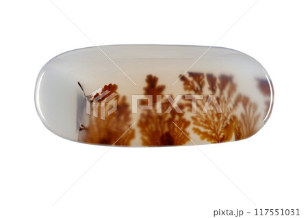 macro mineral stone Agata muschiata on a white background 117551031