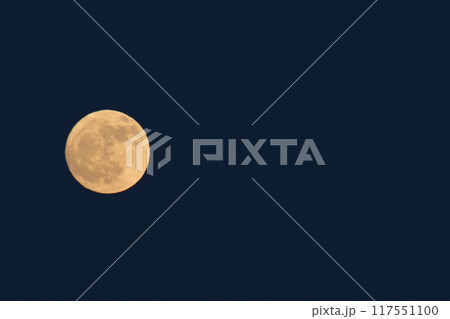 夕空に浮かぶ昇ったばかりの小望月はオレンジ色の月 117551100