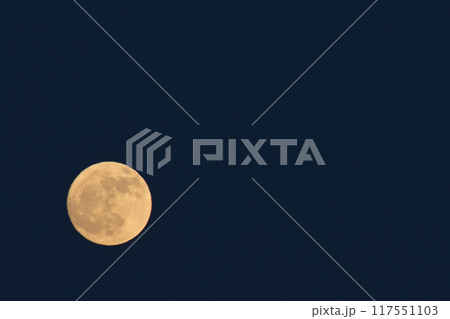 夕空に浮かぶ昇ったばかりの小望月はオレンジ色の月 夕空に浮かぶ昇ったばかりの小望月はオレンジ色の月 117551103