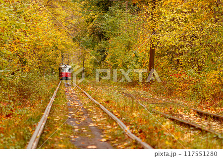 Autumn forest through which an old tram rides (Ukraine) 117551280