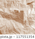 Kraft paper texture.Craft wrapping paper. The texture of a flat crumpled sheet of cellulose products. Old tattered page surface background. Eco-friendly empty aged recyclable packaging. 117551354