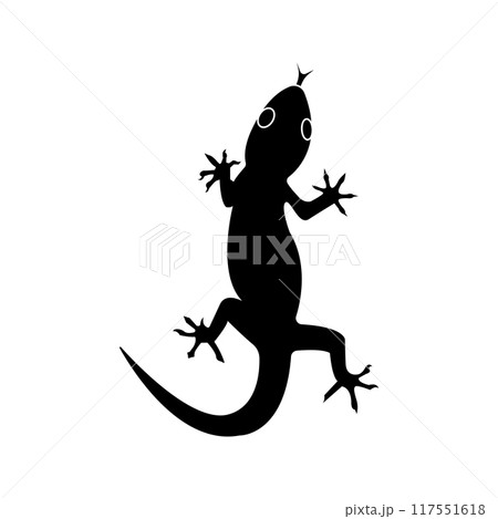 lizard illustration icon lizard illustration icon 117551618
