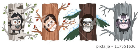 Cute birds in hollows. Owls in trees, cartoon funny nocturnal birds of prey, parts of trunks with branches and leaves, winter and summer season, cartoon flat isolated tidy vector set 117551636