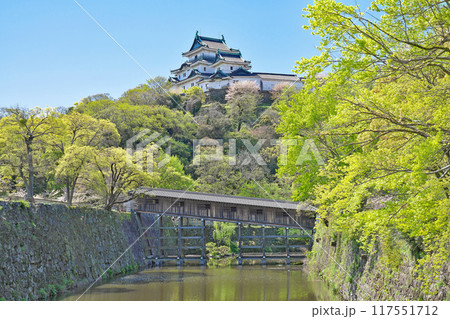 【和歌山城 (御橋廊下)】 和歌山県和歌山市 【和歌山城 (御橋廊下)】 和歌山県和歌山市 117551712