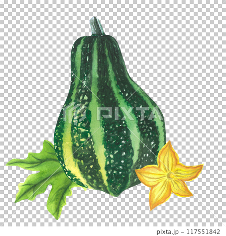 Pumpkin. Hand drawn isolated on white background. Watercolor illustration. For invitations and cards Pumpkin. Hand drawn isolated on white background. Watercolor illustration. For invitations and cards 117551842