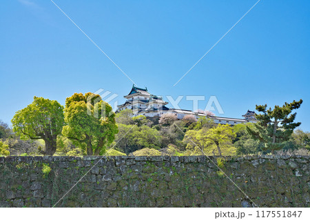 【和歌山城】 和歌山県和歌山市 117551847