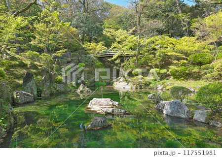 【和歌山城 (西之丸庭園)】 和歌山県和歌山市 117551981